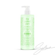COCONUT LIME LOTION CORPOREL 16.9on